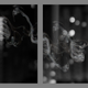 Illustration for article titled Shooting Challenge: Bokeh, Gallery 3